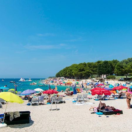 Apartment Lele Primošten Zewnętrze zdjęcie